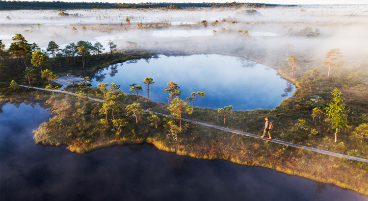 Estland Wandern Moor Foto Karl Ander Adami